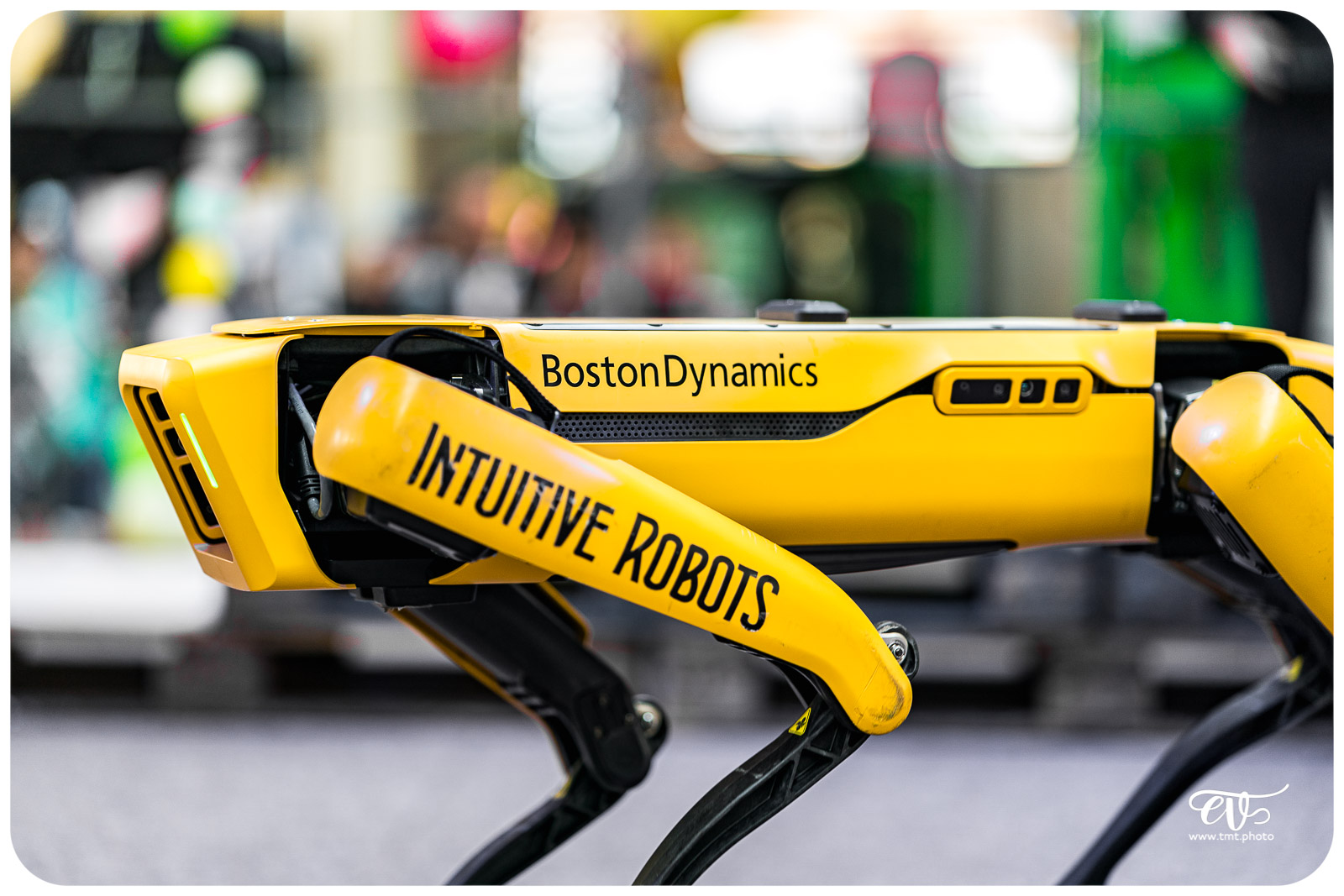 SPOT (BOSTON DYNAMICS)